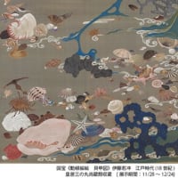 相国寺　「動植 綵絵」(国宝）の複製画30幅公開