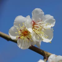 久しぶりです。