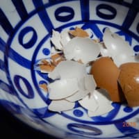 白菜と小梅漬けました