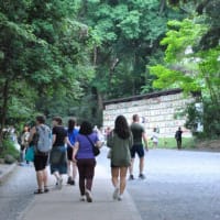 明治神宮御苑　　明治天皇ゆかりの由緒ある花菖蒲苑　　　1