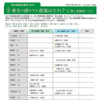 裏金問題の候補者リストをポスティング