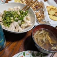 鶏むね肉のネギ塩だれ