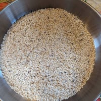 自然農の恵みでつくる楽しみ　古代緑米　小麦　小豆　2024.5