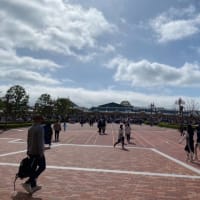 今日のディズニーランド 春休み、開園前の様子。