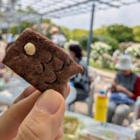 5月12日「万博公園ローズフェスタ」へ・・・東佐井寺公民館パソコン同好会