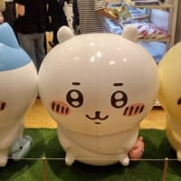 今日のおでかけ