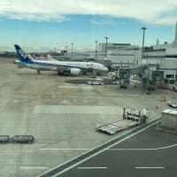 空港✈行ってみた