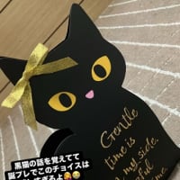 春が来た〜！？
