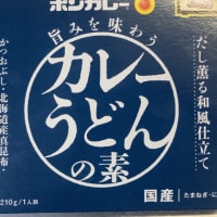 ８月２日はカレーうどんの日