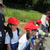 一年生の野鳥の授業。(6/9＊月）