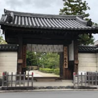 平成最後のショッピング