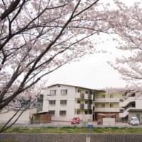 平成２５年入学式