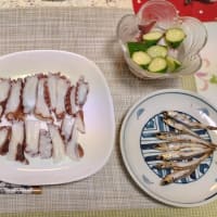出漁！　2025　６月