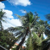 ：青い空とゲリラ豪雨：in カンボジア