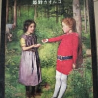 彼女は頭が悪いから