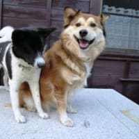 春・・・うらら