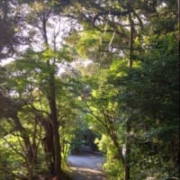 暑さ万倍日だよ