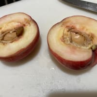 山梨から極早生の桃、ちよひめを食べました。
