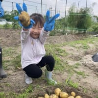 沢山収穫が出来ました。
