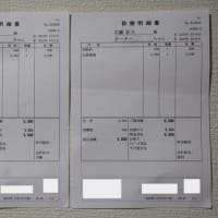 4匹の通院費 診療明細