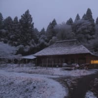 鈴木 照雄 ~陣ヶ森窯ブログ~ 鈴木 照雄 ~陣ヶ森窯ブログ~