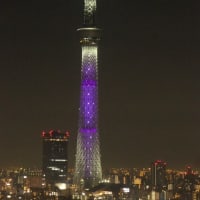 日向坂46の虹開催記念特別ライティング7