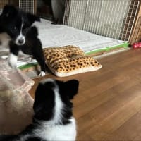 解放タイム