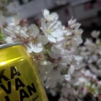 カバラン DRY シングルモルトハイボール