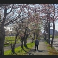 2025/04/05