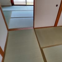 借家