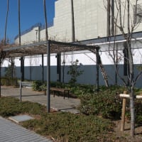 １月のお台場：解体工事中の船の科学館前から東京国際クルーズターミナルへ　ＰＡＲＴ２
