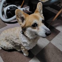 はぁ・・・
