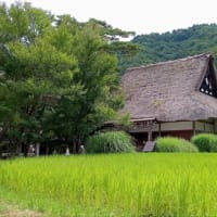 マリーン日記ー上高地、白川郷、飛騨高山旅行