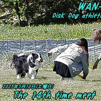 ＷＡＮ－ＷＡ杯♪　開催のお知らせ🤗