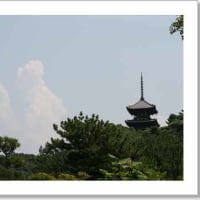 休養明けです