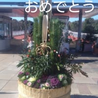 吉野ケ里遺跡に行った話