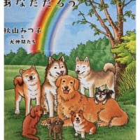 暑い～８月に