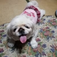 用事があり、