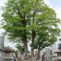 友達の墓参り