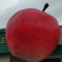 あっぷる🍎栃木店へ