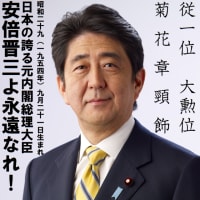 #参院選 2025その１(#7月8日 #安倍晋三 元総理命日にあたり)マスコミ＋反日野党＋左傾国民という赤い一枚岩、保守派はわかっているの？