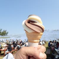 国営ひたち海浜公園２０２５♪　チューリップ編☆