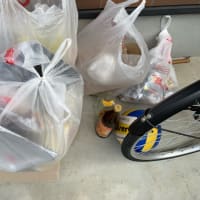 ゴミ出し2往復でした