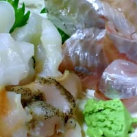 お魚sunリピート