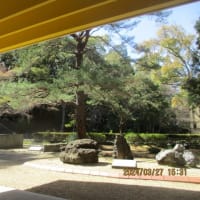 博物館の中庭240327