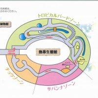井頭公園の花ちょう遊館３