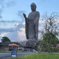 根崎優樹の日常６