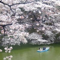 吉井和哉ver 壁紙とアイコン 和哉のおセンチ日記 吉井和哉ver 壁紙とアイコン 和哉のおセンチ日記