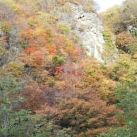 中野もみじ山と高原野菜