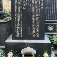 『べらぼう』の話(28)つよ